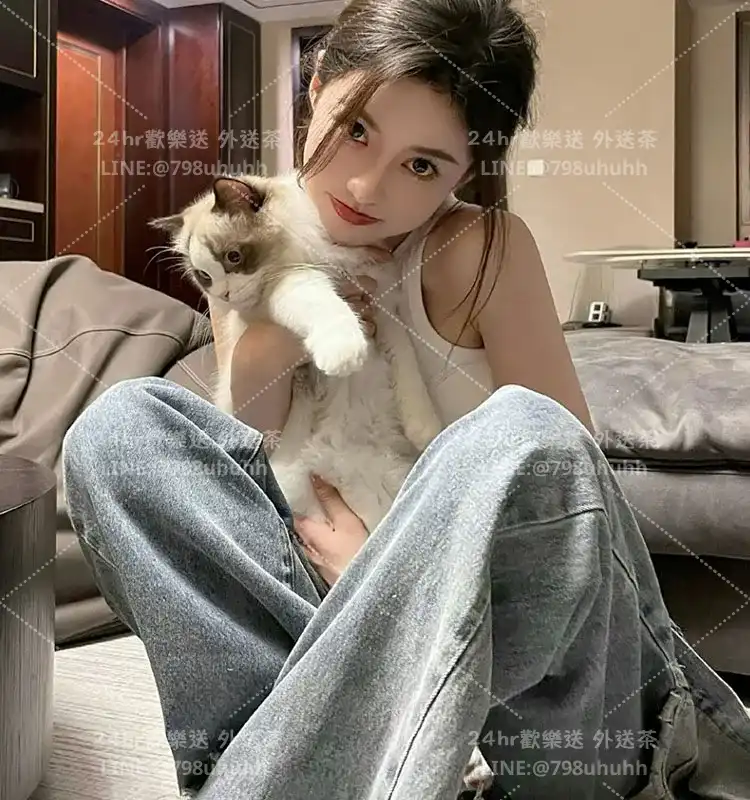 嘉義打砲 燕子