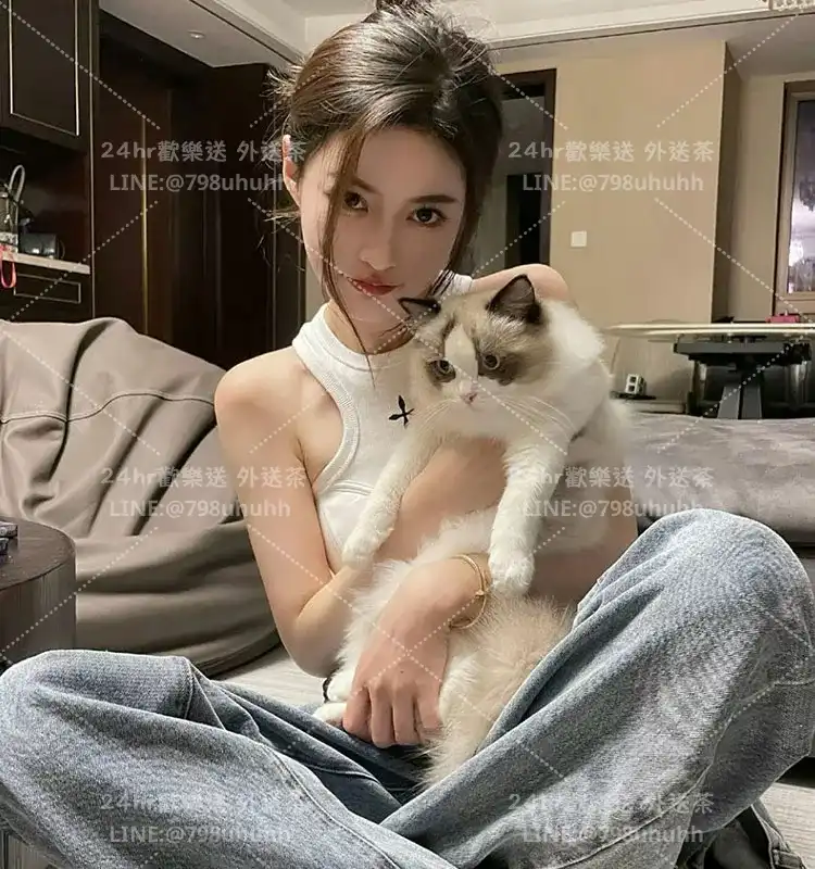 嘉義打砲 燕子