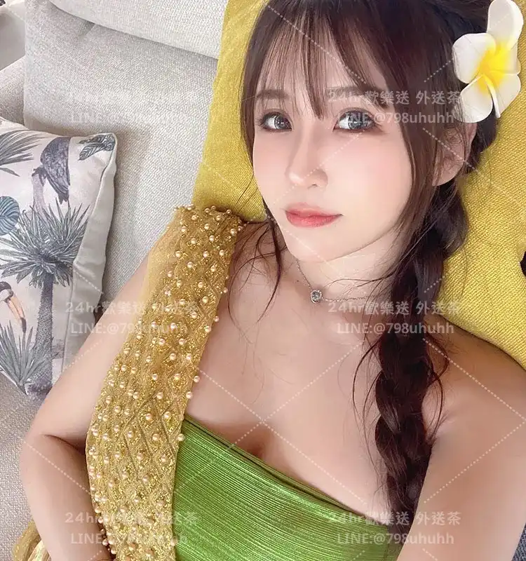 台北打砲 燕子